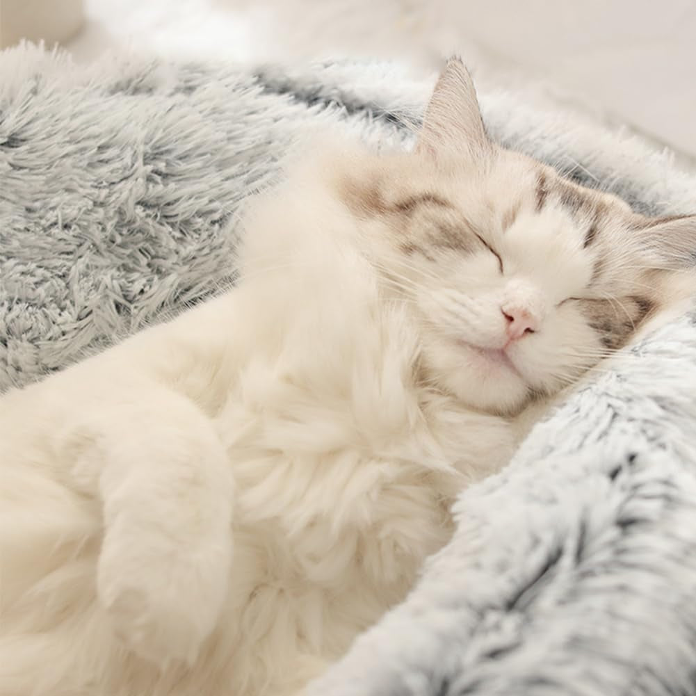 Couvertures et meubles, Animaux, Grottes et maisons, Chats, Lits pour chats, Chats - lits, matelas