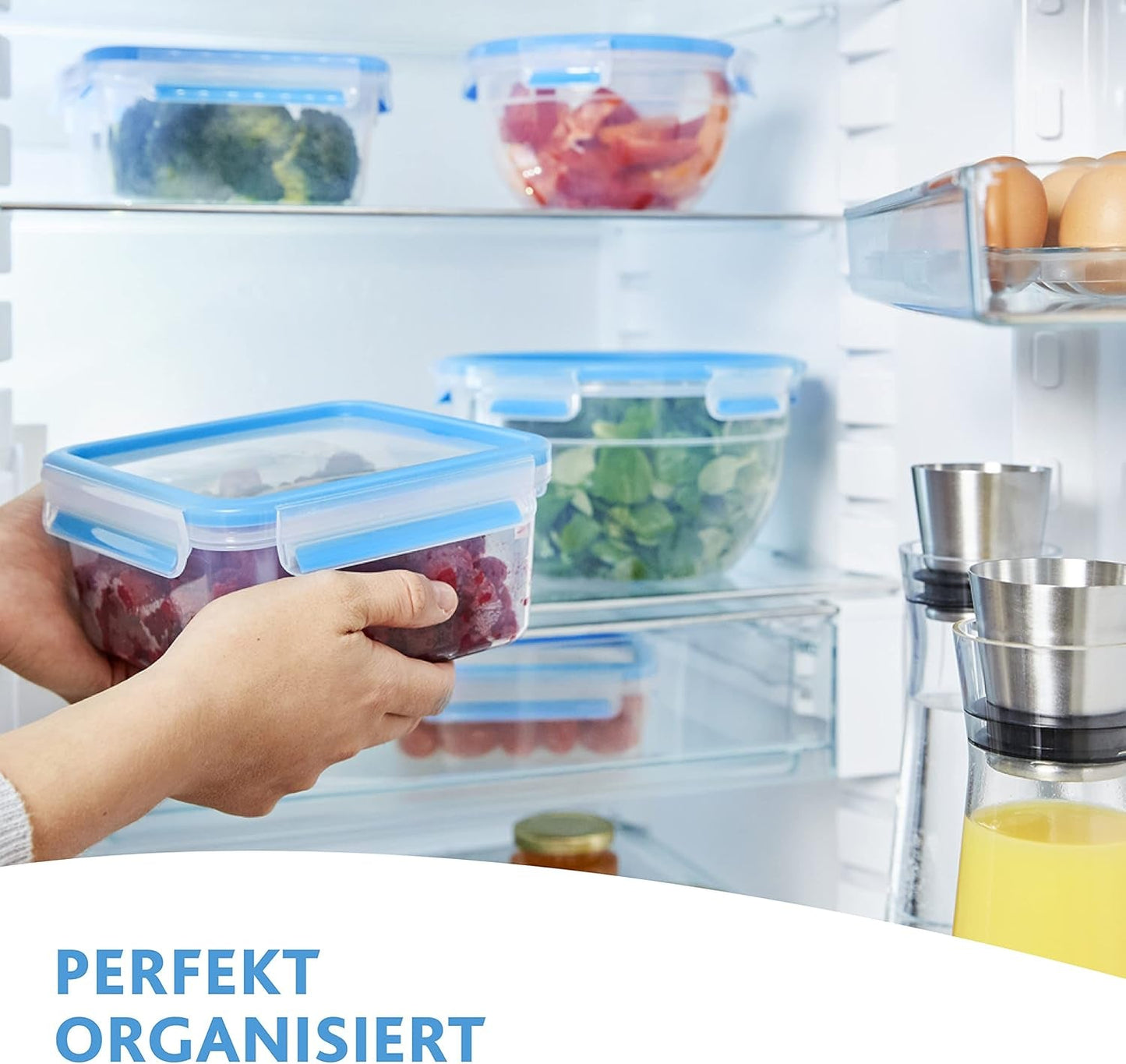 Emsa 515585 Clip alimentaire et fermeture | Ensemble 3 pièces | plastique | transparent / vert | Boîtes de conservation alimentaire Naty Shop 0,55 / 1 / 2,2 litres