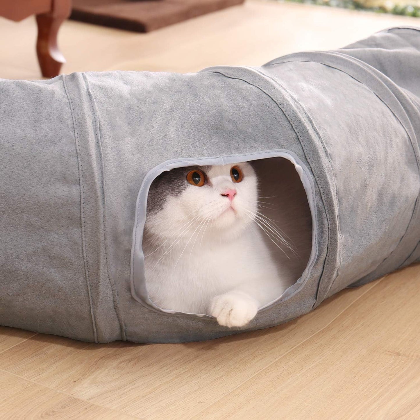 Animal de compagnie, chats, chats - lits, matelas, jouets, tunnels