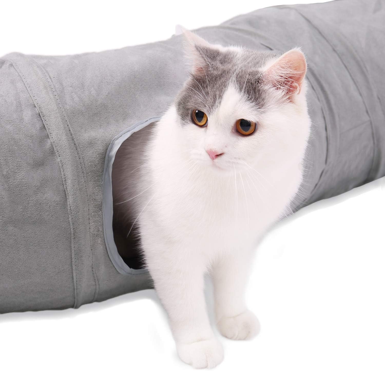 Animal de compagnie, chats, chats - lits, matelas, jouets, tunnels