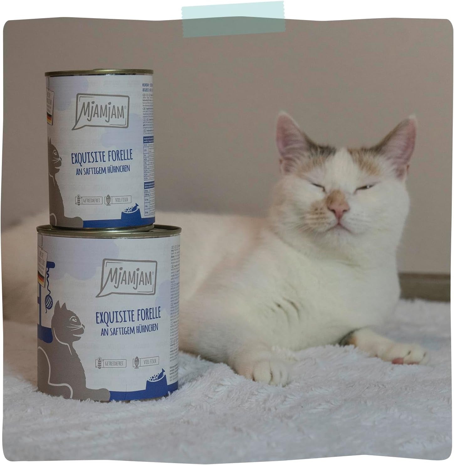 MjAMjAM - Nourriture humide premium pour chats - Truite raffinée au poulet juteux, paquet de 6 (6 x 400 g), sans céréales