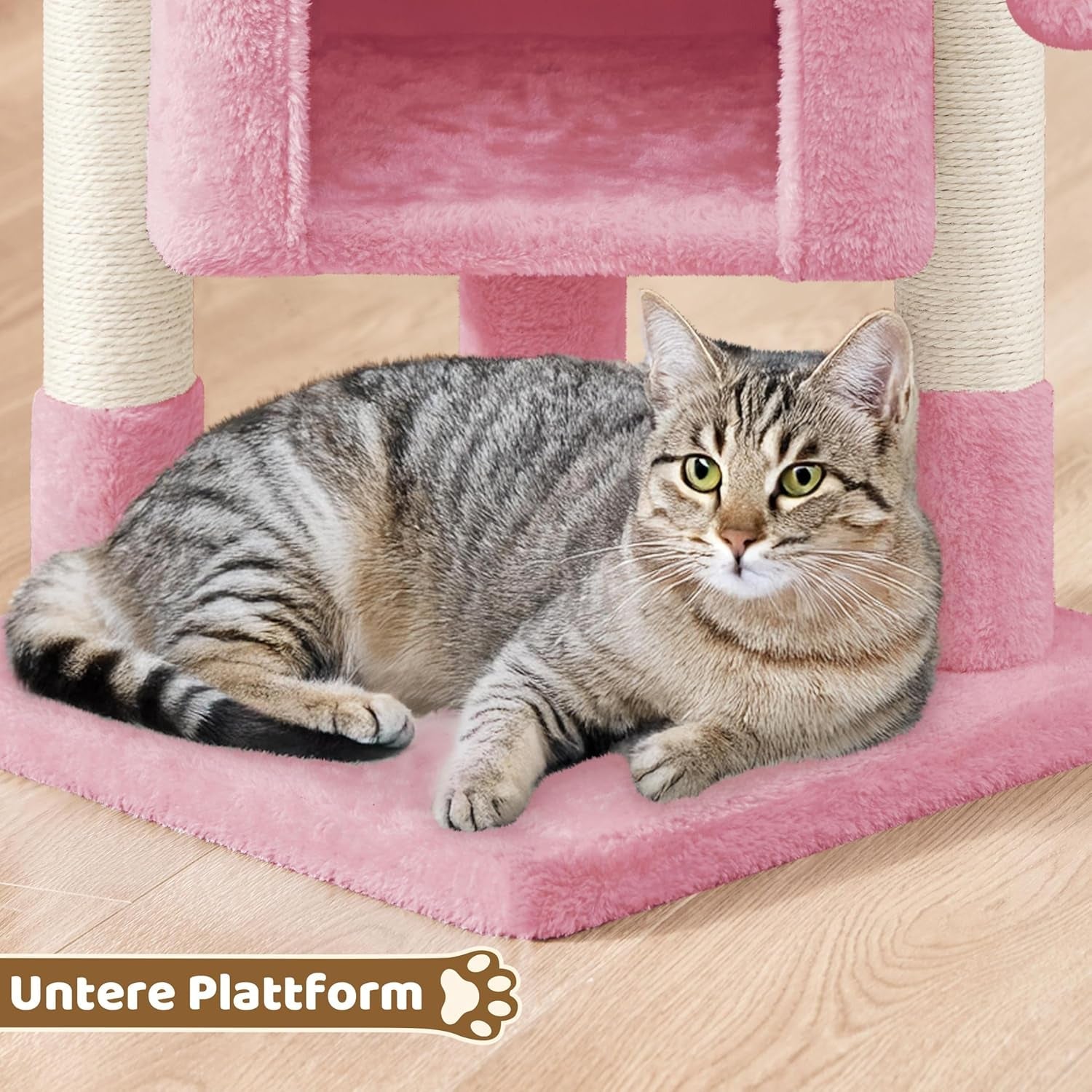 Couvertures et meubles, Animaux, Chats, Lits pour chats, Griffoir, Chats - lits, matelas