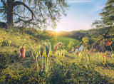 Ravensburger Puzzle - 4 Saisons - Puzzle 4X 500 pièces pour adultes et enfants à partir de 12 ans Puzzle Naty Shop