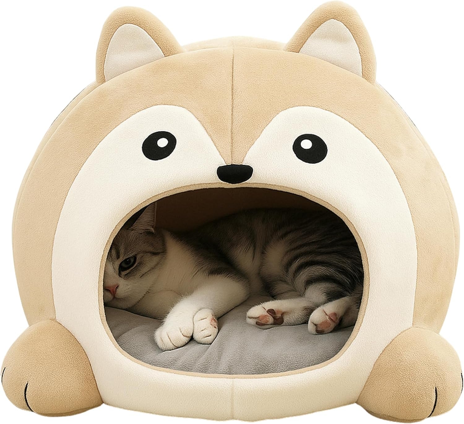 Couvertures et meubles, Animaux, Grottes et maisons, Chats, Lits pour chats, Chats - lits, matelas