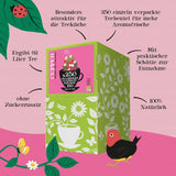 Cupper Thé aux fruits bio Canneberge Framboise | Thé à la framboise | 250 sachets de thé non blanchis | Grand paquet | Parfait pour le bureau | Écologique | Commerce équitable