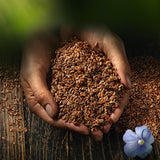 Graines de lin entières biocentrales | 7 x 400g de graines de lin bio | Idéal pour le yaourt, le muesli et le pain | Alternative au psyllium, aux graines de chanvre et aux graines de chia
