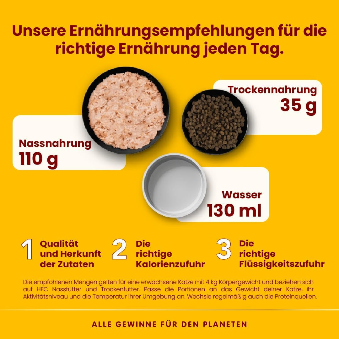 Almo Nature HFC Jelly - Nassfutter für ausgewachsene Katzen - Lachs - Qualité humaine, sans gluten et monoprotéine - 6 x 70 g