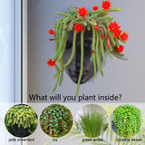Notakia Pot de fleurs mural à facettes pour intérieur et extérieur avec drainage pour plantes grasses, cactus et petites plantes, décoration unique pour la maison, cadeau pour les amis et la famille