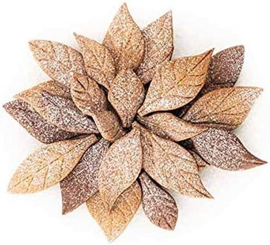 Silikomart, Voila Feuilles de Biscuit, 240mm X 150mm, hauteur 20mm Cuisine Naty Shop