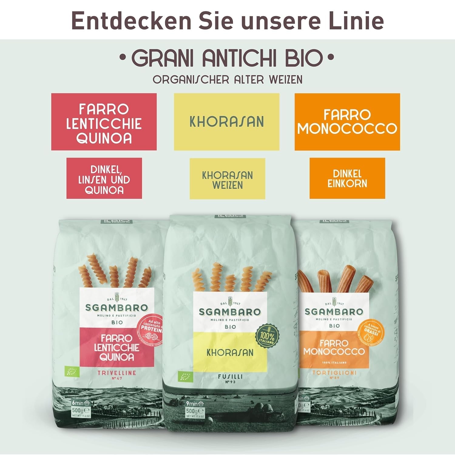 Pâtes Penne Rigate Bio N.91 - 500g Pâtes de blé allégées - Source de fibres et de protéines