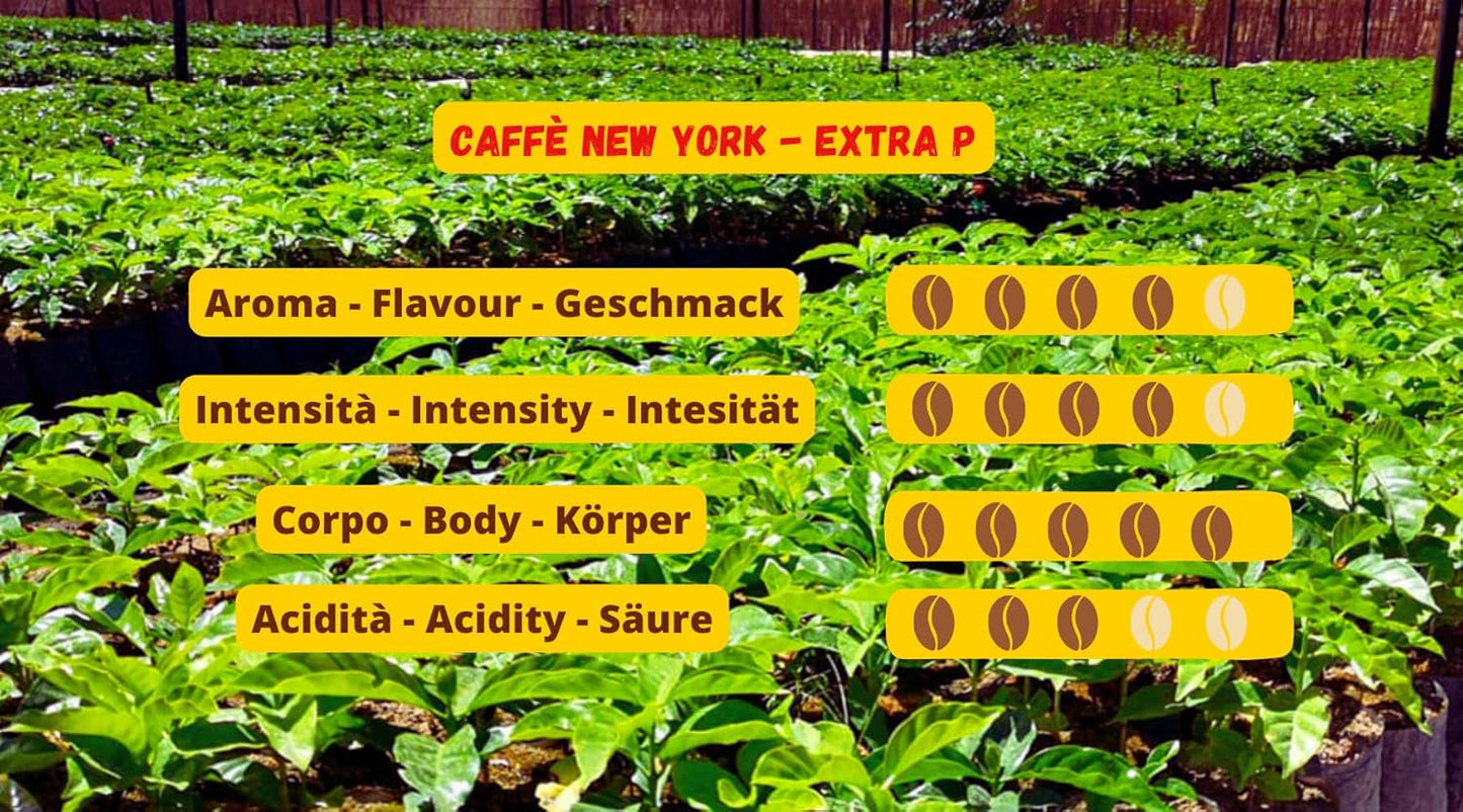 New York Coffee - EXTRA P - Café en grains, goût fort et décisif, grains Arabica et Robusta, à moudre, expresso italien, mélange de bar - qualité premium depuis 1930 - 1 kg, grains