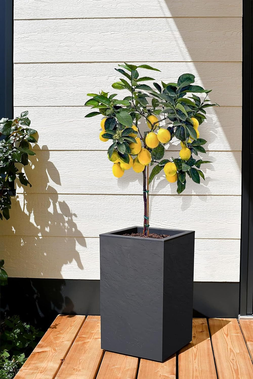 Jardinière Volcania Up, carrée, haute, 36 l, aspect pierre, simple paroi, réservoir d'eau, 29,5 x 29,5 x 49,5 cm, gris anthracite