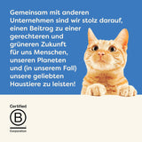 Applaws 100% naturel Premium-Nassfutter for Katzen, Thunfischfilet mit Algen in Brühe - Packung mit 24 x 156g Dosen