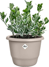 elho Amiga Round 47 - Pots de fleurs intérieurs et extérieurs - 100% plastique recyclé - Ø 47,0 x H 35,3 cm - Beige/Beige Champignon