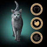 SHEBA Perfect PORTIONS sauce pour chat à la dinde 8 x 3 x (2 x 375g)