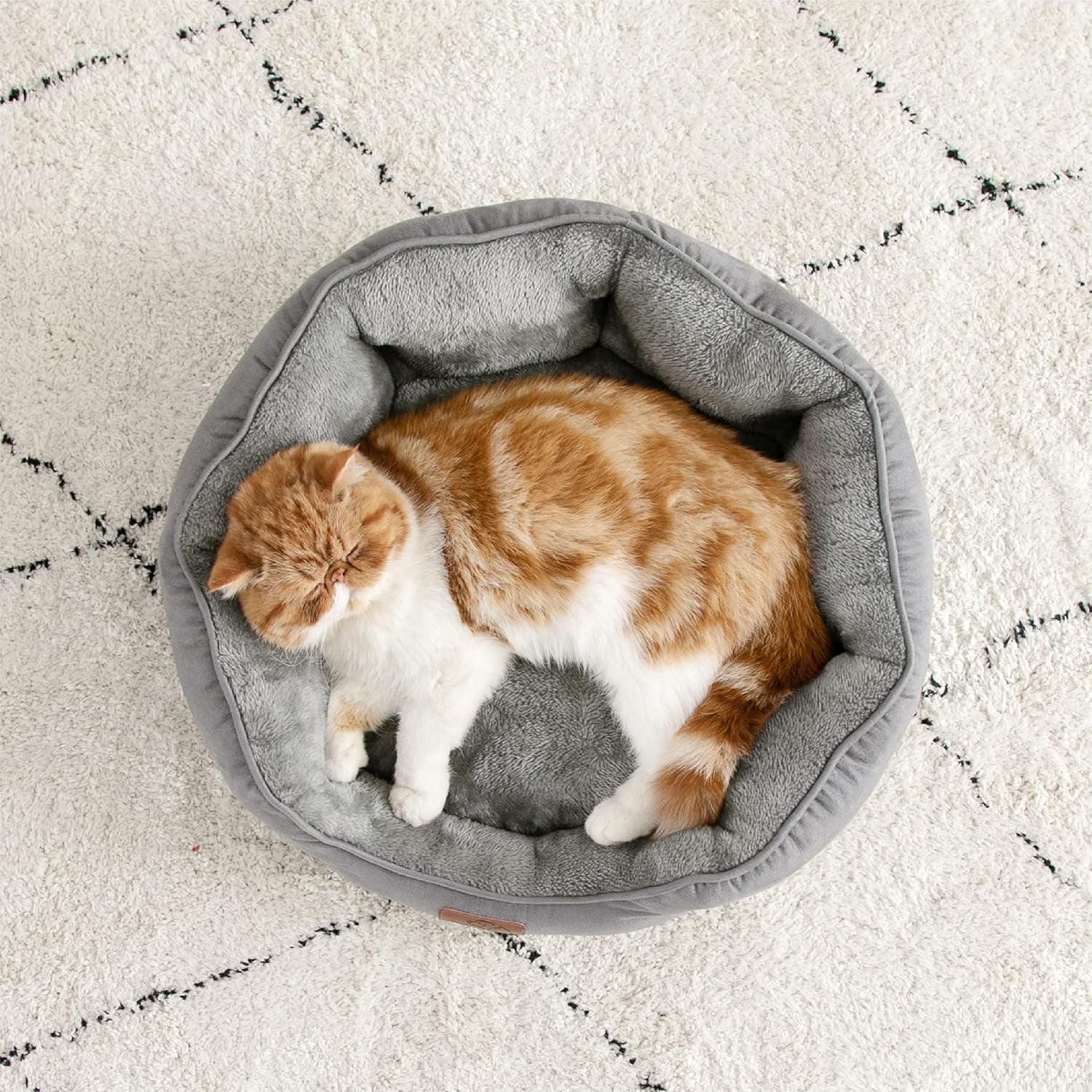 Lits et Canapés, Couvertures et Meubles, Animaux, Chats, Lits pour chats, Chats - lits, matelas