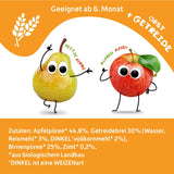 FRECHE FREUNDE Sachet de fruits à presser biologique pomme cannelle poire riz épeautre purée de fruits avec céréales pour bébés de 6 mois et plus végétaliens 6 paquets (6 x 100 g)