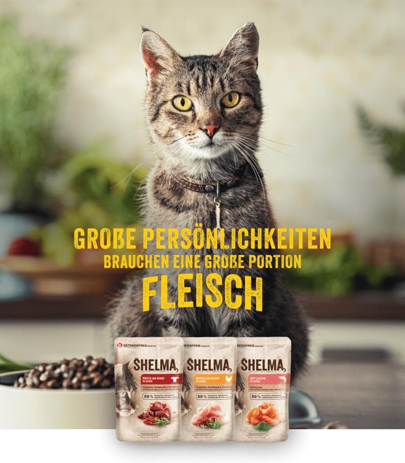 Shelma Nourriture humide pour chat au poulet dans une sauce tomate et herbes – Aliment complet sans céréales à haute teneur en viande – 28 x 85 g (2,38 kg)