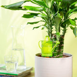 Scheurich Nelly M, réservoir d'eau en plastique, couleur : Nelly M, vert, 13 cm de large, 7 cm de profondeur, 22 cm de haut, volume 0,2 l.
