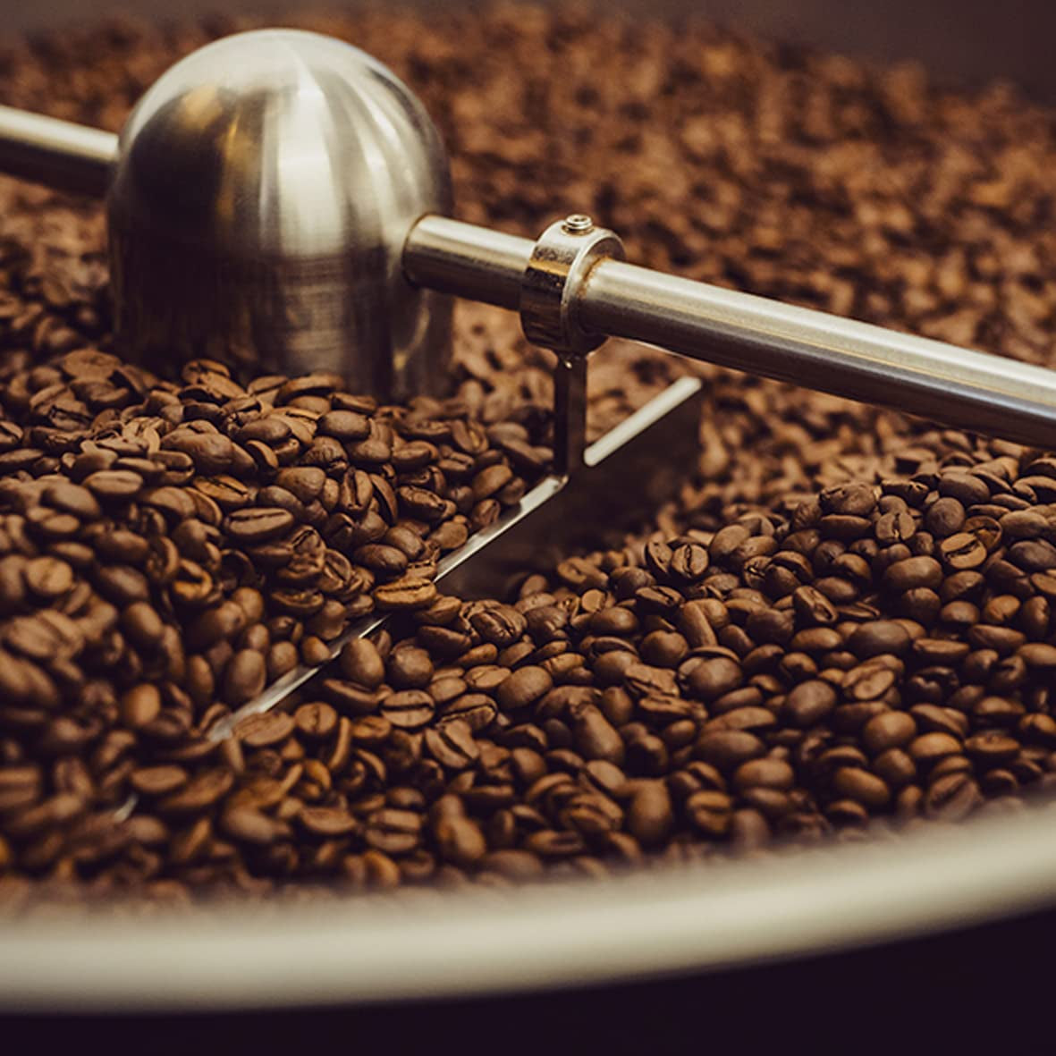 - Moka 1000g | Café fort pour Schümli et expresso provenant de machines entièrement automatiques | Grains de café torréfiés entiers | With 90% Arabica beans