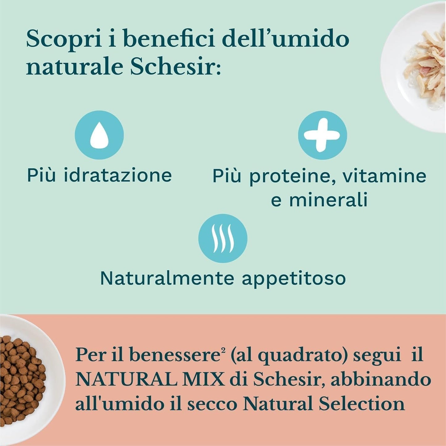 Nourriture humide pour petits chats à la crème de poulet et au poulet - Nourriture humide pour petits chats - Nourriture humide pour chats à la crème de poulet, sans céréales, riche en protéines, vitamines et minéraux (20 sachets x 150 g)