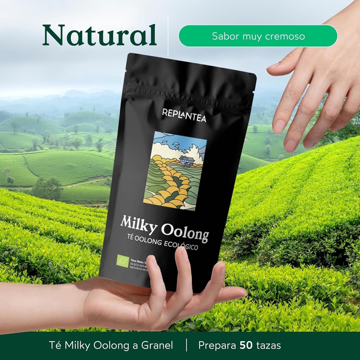 Thé Oolong au lait BIO (100 g) | Thé Oolong en vrac de qualité supérieure aux notes de lait crémeuses et sucrées | Spécialité de thé délicate | REPLANTER