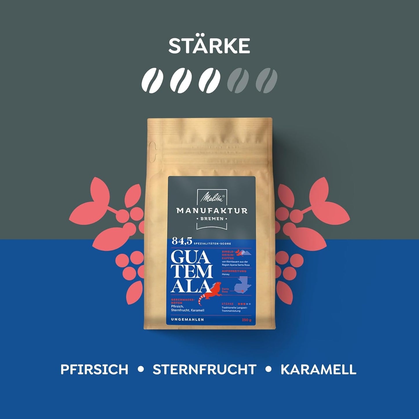 Melitta Manufaktur-Kaffee Guatemala Honey, Spezialitäten, 250g, Ganze Bohnen, Ungemahlen, Single Origin, Sanfte Trommelröstung, Geröstet in Deutschland, Stärke 3