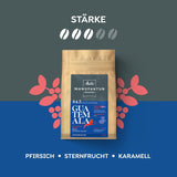 Melitta Manufaktur-Kaffee Guatemala Honey, Spezialitäten, 250g, Ganze Bohnen, Ungemahlen, Single Origin, Sanfte Trommelröstung, Geröstet in Deutschland, Stärke 3
