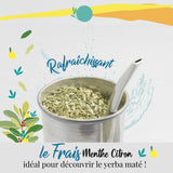 ORIGEENS BIO YERBA MATE À LA MENTHE ET CITRON 200 G - Fraîcheur I Yerba Mate Bio non torréfiée, feuilles, sans tiges ni poussière