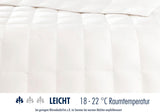 Couette en duvet Irisette Nora Couette d'été légère avec housse 100% coton, garnissage 100% duvet classe I, 135 X 200 cm, certifiée Oeko-Tex, produite selon la norme de qualité allemande Couettes et couettes Naty Shop