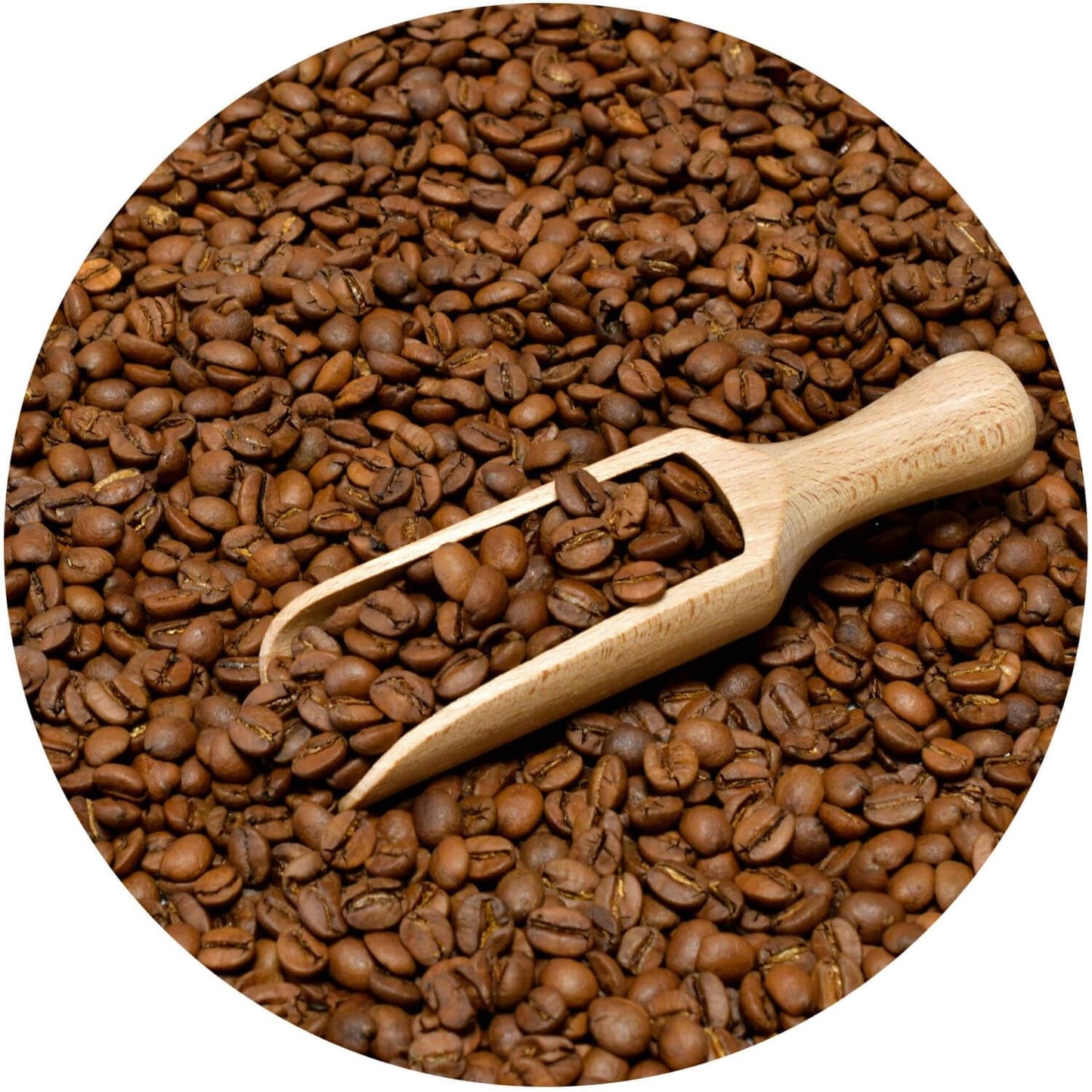 Coffret de café en grains 3x1kg 3000g | Guaxupe brésilienne | Café brésilien | Café spécial | Fraîchement frit | Boulangerie artisanale de café