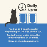 Applaws Nourriture humide naturelle de qualité supérieure pour chats, filets de thon avec crevettes du Pacifique en soupe, sachets de 70 g (12 x 70 g)