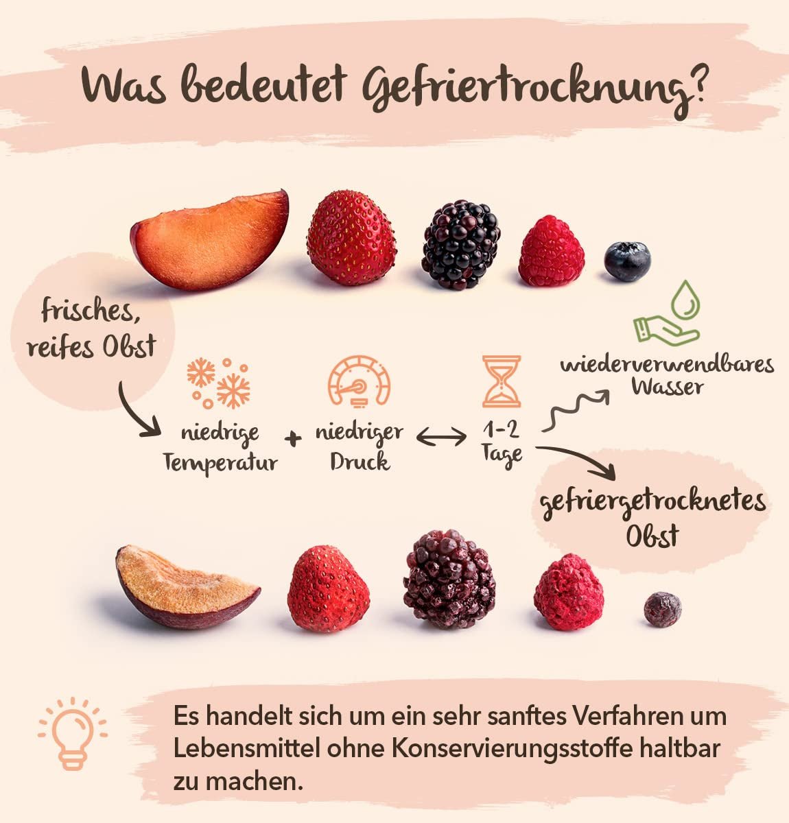 Bananes lyophilisées BRIX | Bananes naturelles séchées 140 g | Great Taste Award pour les fruits secs, séchés | Sans OGM, sans gluten, végétalien, vitamines conservées Naty Shop Produits déshydratés
