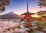 Ravensburger Puzzle 12000582 - Fleurs de cerisier au Japon - Puzzle 1000 pièces pour adultes et enfants de plus de 14 ans, Puzzle Naty Shop New Design