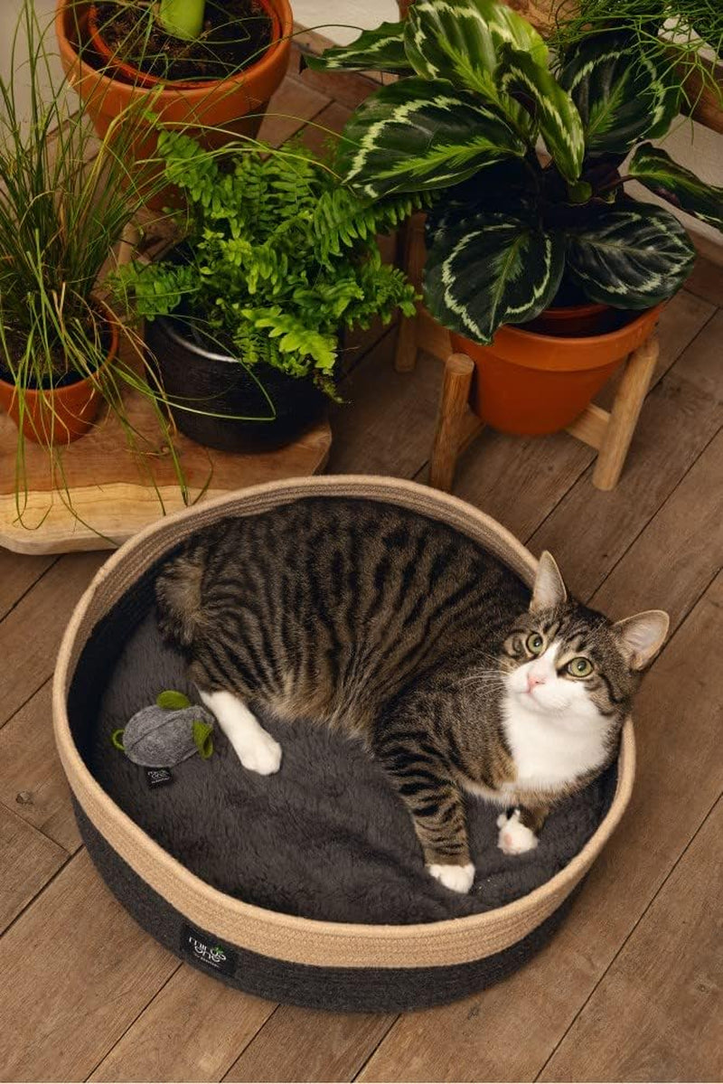 Lits, couvertures et meubles, animaux, chats, lits pour chats, Chats - lits, matelas