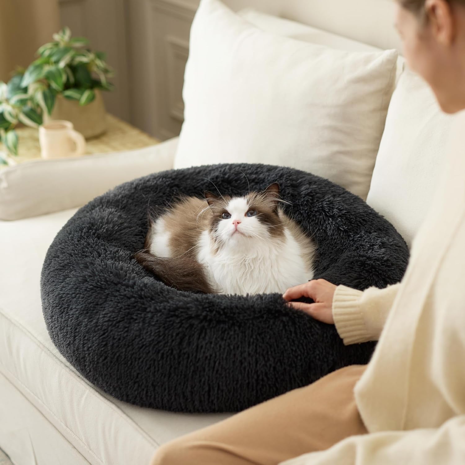 Lits, couvertures et meubles, animaux, chats, lits pour chats, Chats - lits, matelas