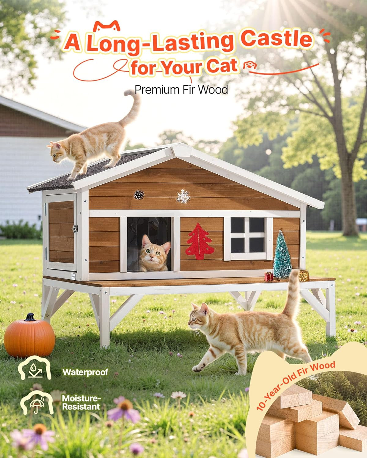 Couvertures et meubles, Animaux, Grottes et maisons, Chats, Lits pour chats, Chats - lits, matelas
