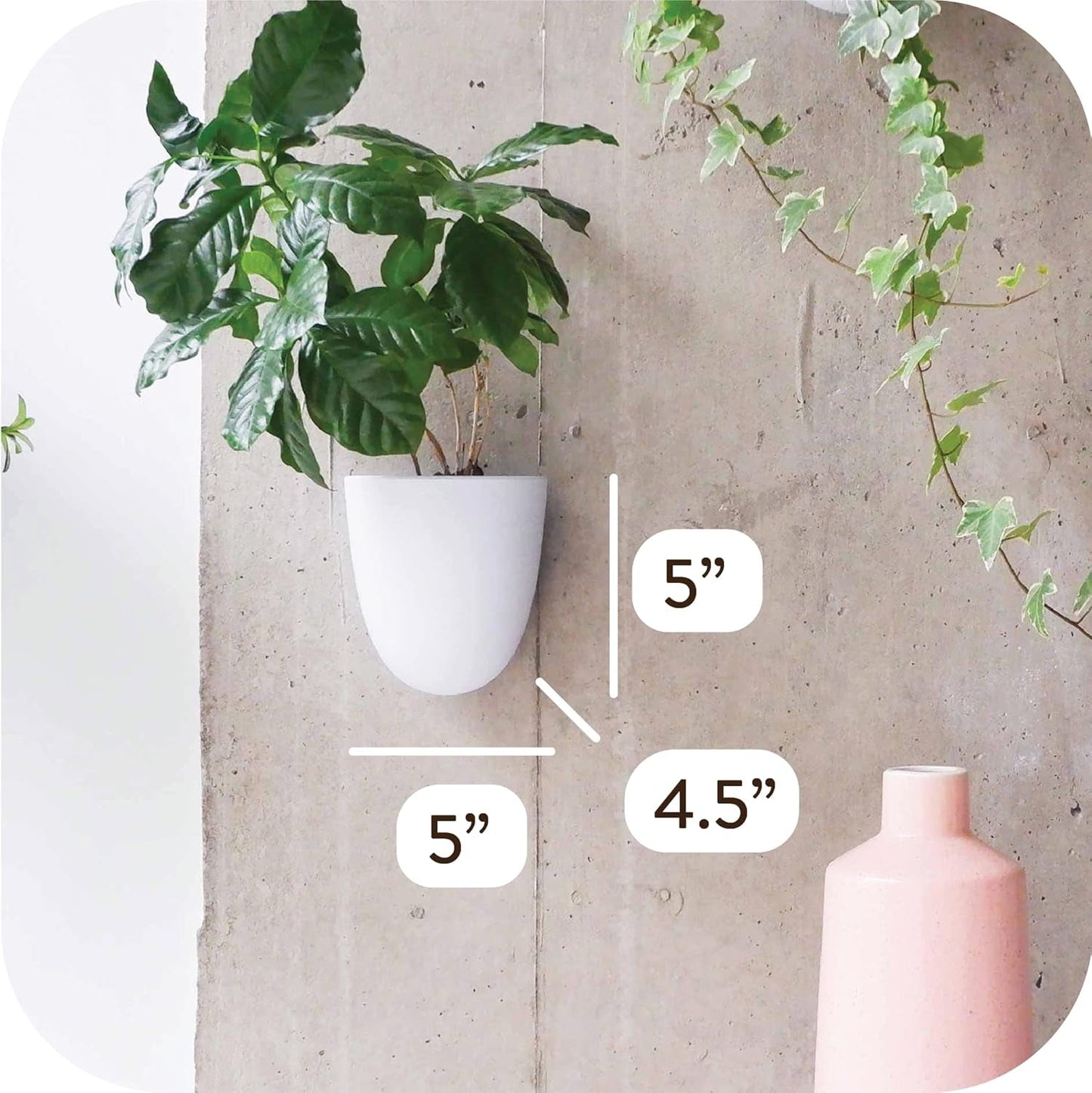Virgo Lot de 6 pots muraux à arrosage automatique – Faciles à arroser et à installer – Légers – Créez votre propre jardin vertical – Pots muraux pour plantes d'intérieur