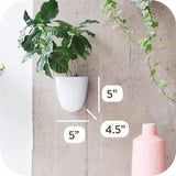 Virgo Lot de 6 pots muraux à arrosage automatique – Faciles à arroser et à installer – Légers – Créez votre propre jardin vertical – Pots muraux pour plantes d'intérieur