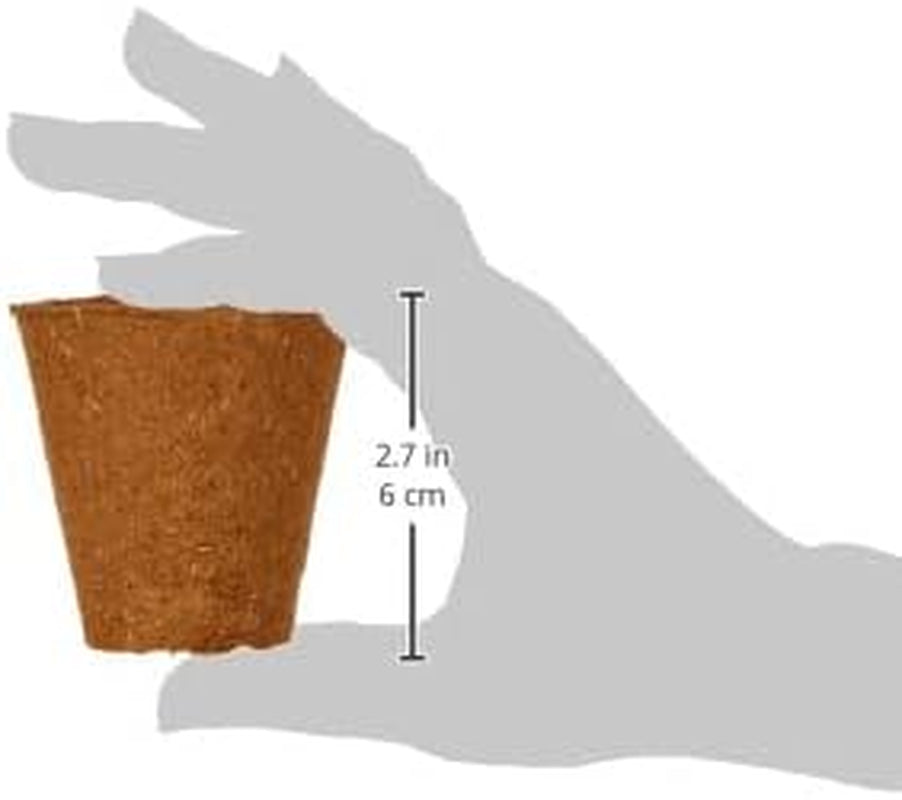 Pots Dehner pour semis, ronds, Ø 6 cm, 96 pièces, marron