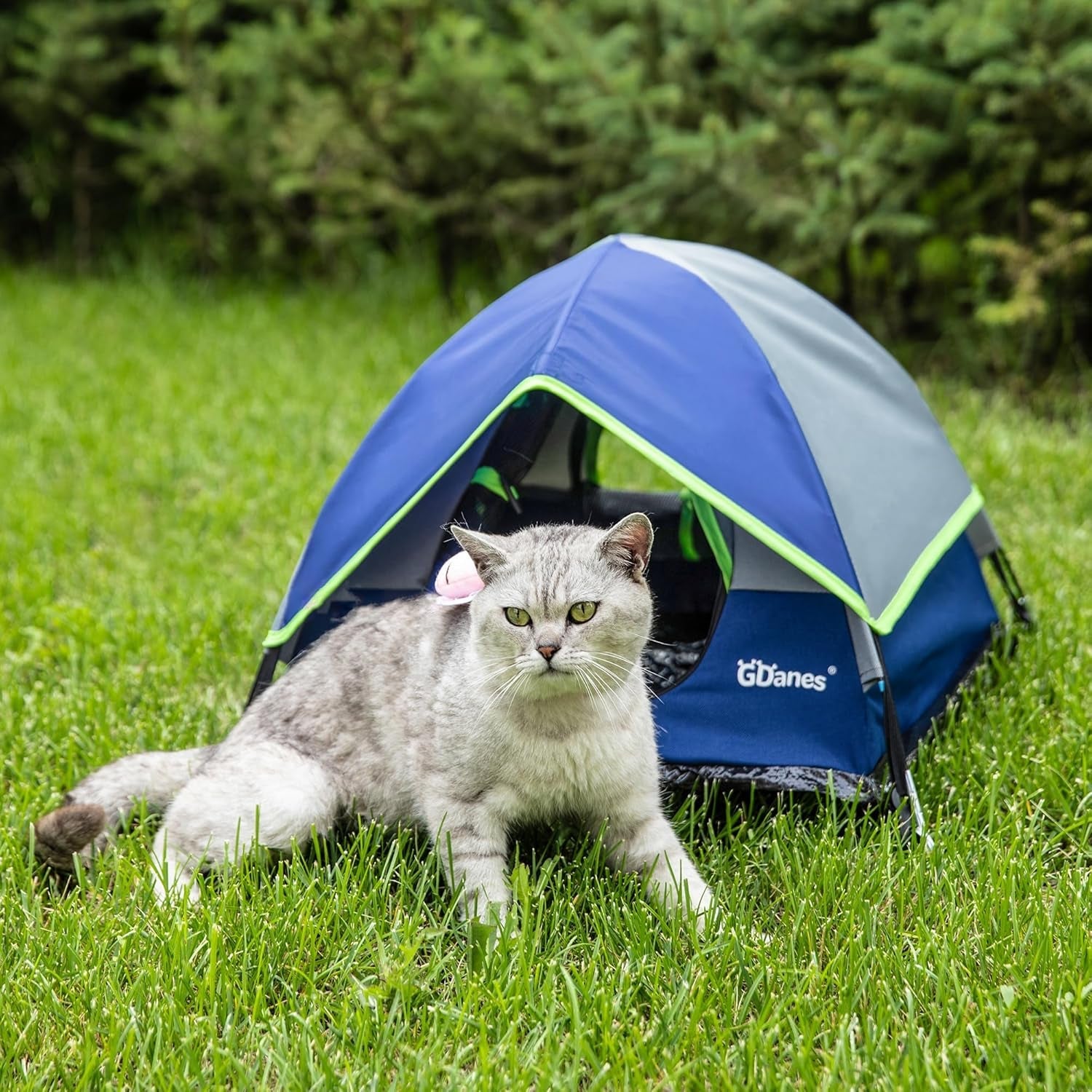 Couvertures et meubles, Animaux, Grottes et maisons, Chats, Lits pour chats, Chats - lits, matelas