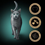 Sheba Portion Pouches Nourriture humide pour chat, paquet multiple de gelée fraîche et fine de dinde et de poulet, 6x6x50g - Nourriture pour chat de haute qualité en gelée de dinde et de poulet