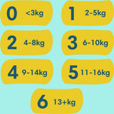 Pampers Premium Protection Taille 6, 74 couches, 13 kg+, #1 pour le confort et la protection des peaux sensibles