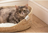 Lits et Canapés, Couvertures et Meubles, Animaux, Chats, Lits pour chats, Chats - lits, matelas