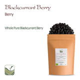 Cassis bio non sucré - Groseilles séchées Baies fruitées - idéales pour la pâtisserie Groseilles Framboises Thé Cassis Cassis Noirs séchés Produits déshydratés Naty Shop