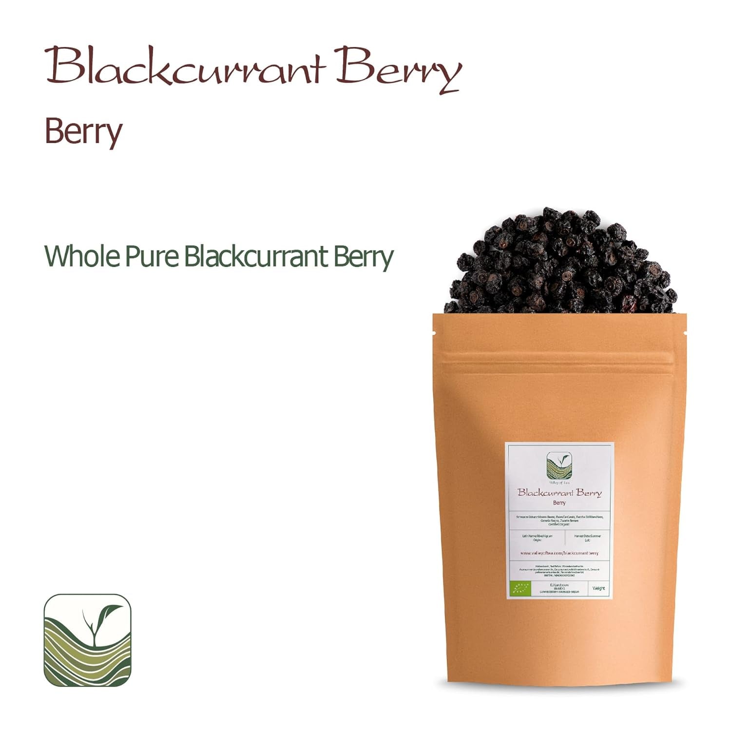 Cassis bio non sucré - Groseilles séchées Baies fruitées - idéales pour la pâtisserie Groseilles Framboises Thé Cassis Cassis Noirs séchés Produits déshydratés Naty Shop