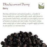 Cassis bio non sucré - Groseilles séchées Baies fruitées - idéales pour la pâtisserie Groseilles Framboises Thé Cassis Cassis Noirs séchés Produits déshydratés Naty Shop