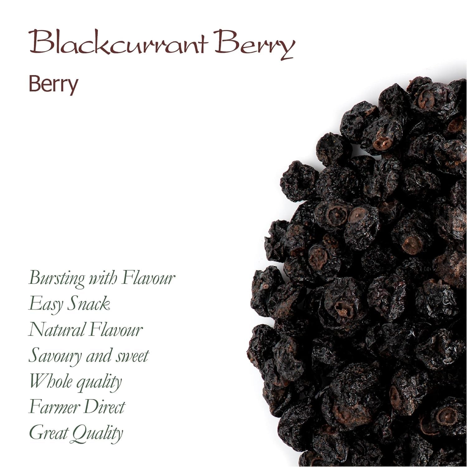 Cassis bio non sucré - Groseilles séchées Baies fruitées - idéales pour la pâtisserie Groseilles Framboises Thé Cassis Cassis Noirs séchés Produits déshydratés Naty Shop