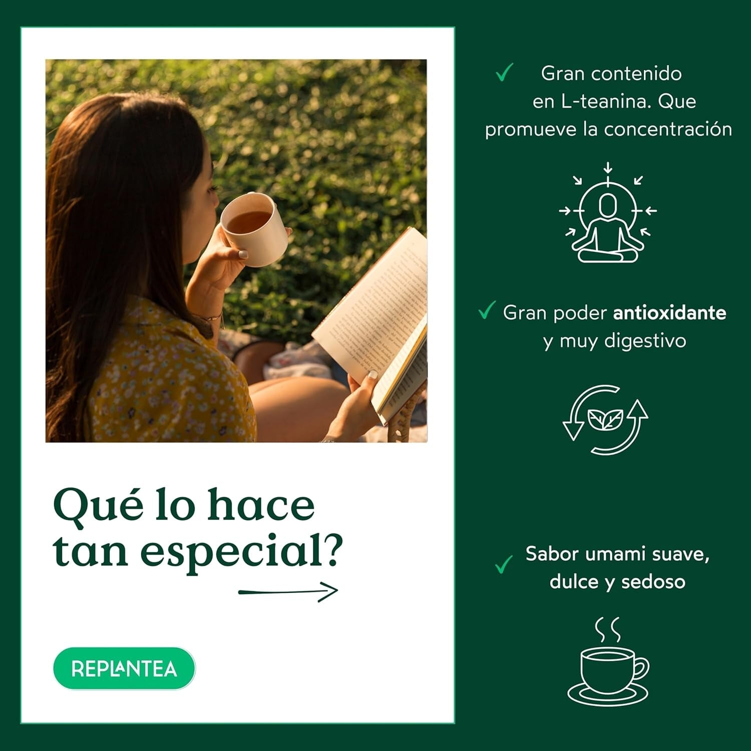 Thé vert japonais Gyokuro biologique (100 g) | Thé en vrac premium | Goût umami raffiné et douceur délicate | REPLANTER