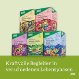 Salus - Thé Krafttier - Brave Dragonfly - 1X 15 sachets filtrants (24g) - Tisane au goût de citron - Au millepertuis - Aromatisée - Bio